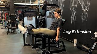 Leg Extension