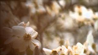 Goldfrapp - Utopia (New Ears Mix) Nature Video