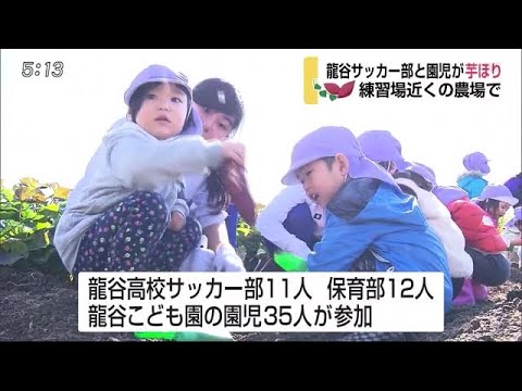 龍谷高校サッカー部が園児と芋ほり 部員が野菜を育てる【佐賀県佐賀市】 (19/11/20 18:00) - 龍谷高校サッカー部が園児と芋ほり 部員が野菜を育てる【佐賀県佐賀市】 (19/11/20 18:00)