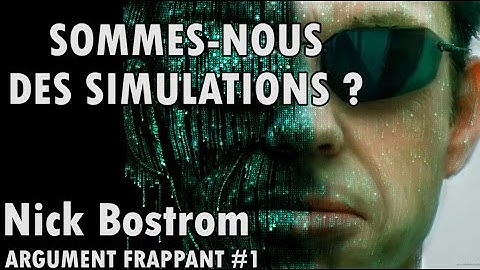SOMMES-NOUS DES SIMULATIONS ? L