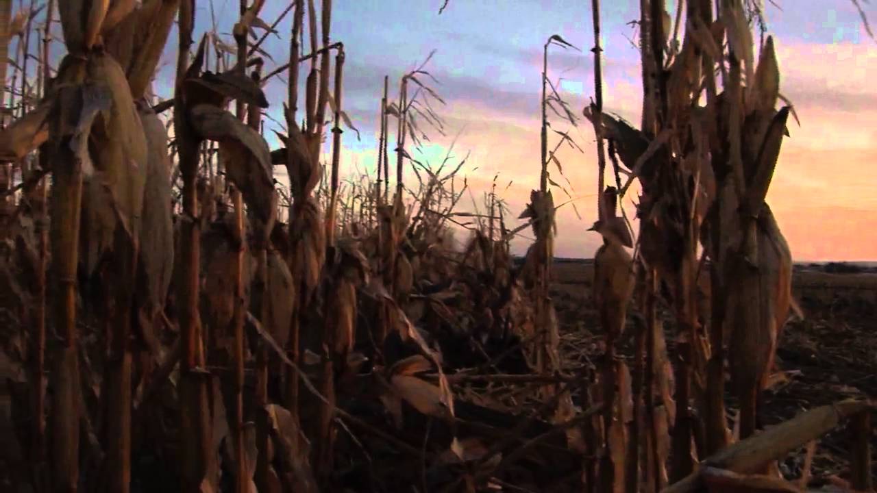 The Northwest Outdoorsmen, Episode 2 duck hunting