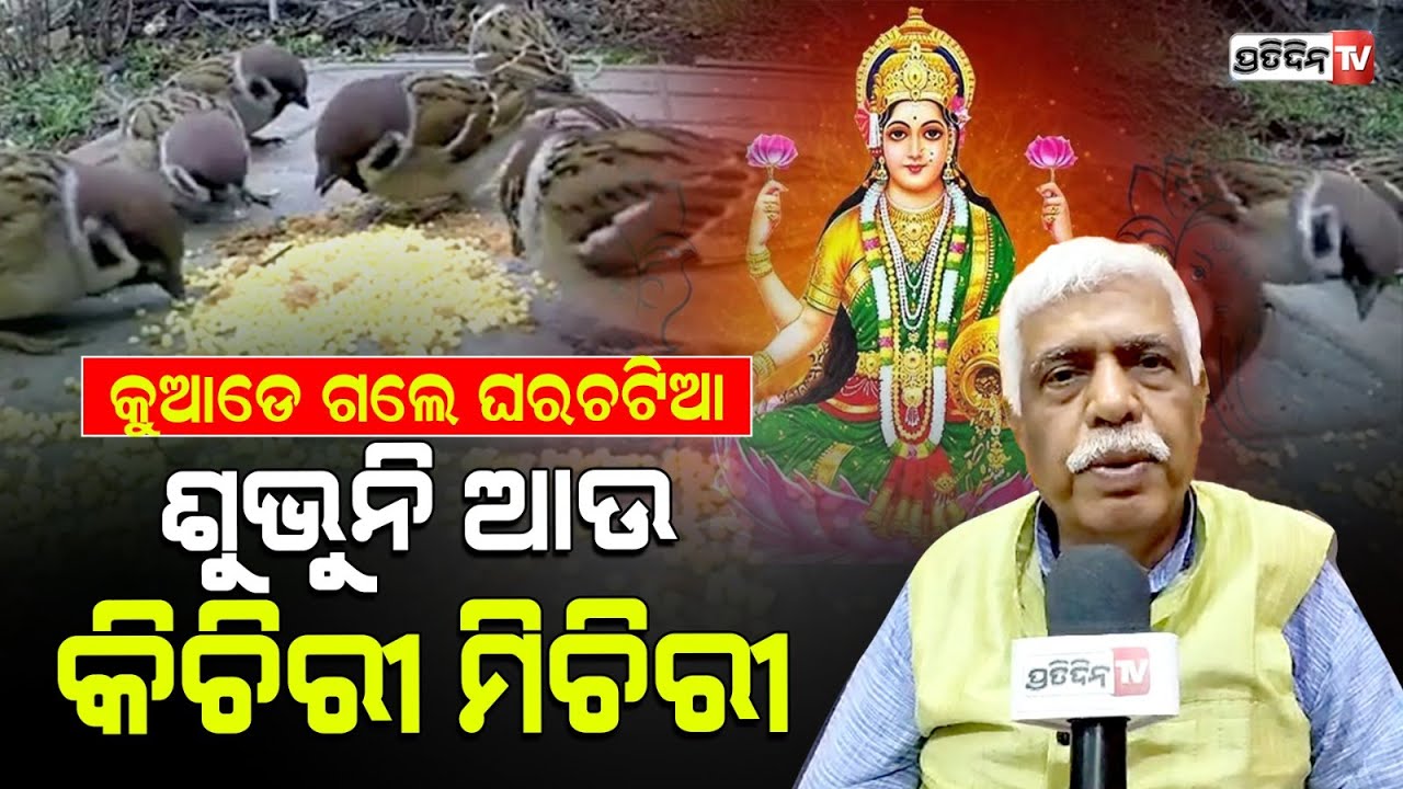 ଘରଚଟିଆ ଘରକୁ ଆସିଲେ ବଦଳେ ଭାଗ୍ୟ, ଲକ୍ଷ୍ମୀ ହୁଅନ୍ତି ପ୍ରସନ୍ନା। World house sparrow Day.