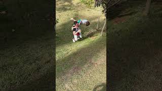 Man And Child Tumble On Grass, Bursting Into Laughter