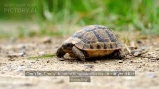 🐢✨ The Adventures of Timmy the Tiny Turtle ✨🐢