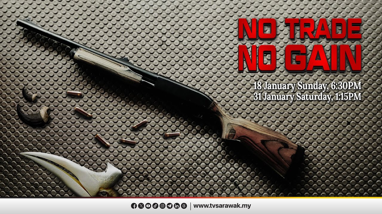 No Trade, No Gain | TVS Entertainment