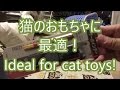 子猫・猫がはしゃぐ！レーザーポインター 猫のおもちゃ