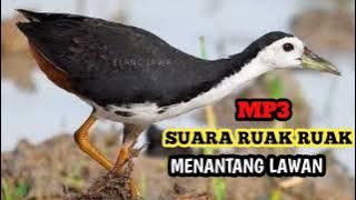 Ruak ruak pikat mp3 ampuh