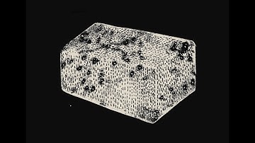 Leeb0rn – Unseeing and Unseeable (Official Video)