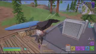 Fortnite Victory Royale # 702