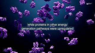 Mitochondrial Abnormalities In Wolfram Syndrome