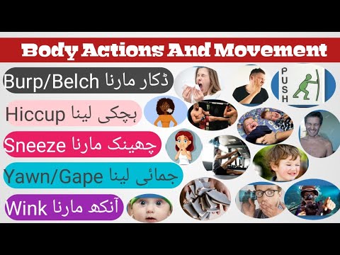 English Vocabulary In Urdu For Body Actions And Movements - Angrezify