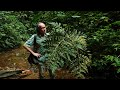 Field trip with patrick blanc in ecuador  mashpi cloud forest