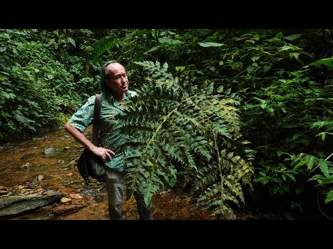 প্যাট্রিক ব্ল্যাঙ্কের সাথে ইকুয়েডরে ফিল্ড ট্রিপ - মাশপি ক্লাউড ফরেস্ট