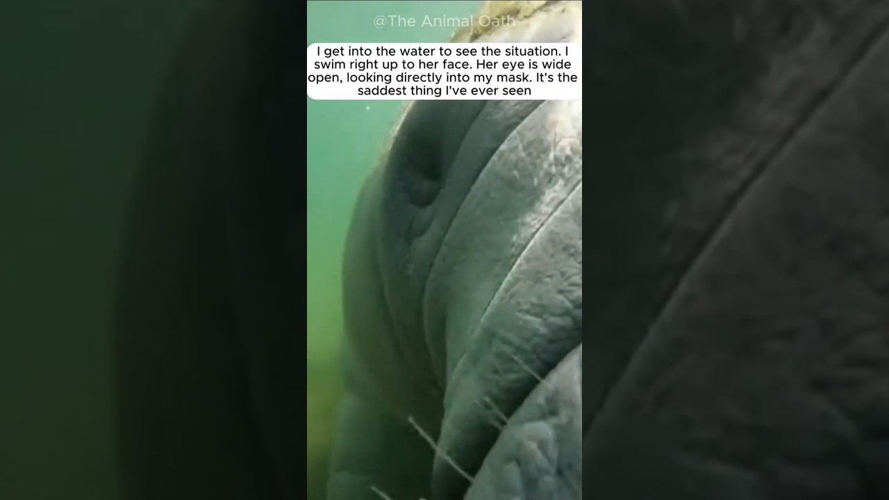 She thought she was trapped forever. Watch until the end ❤️