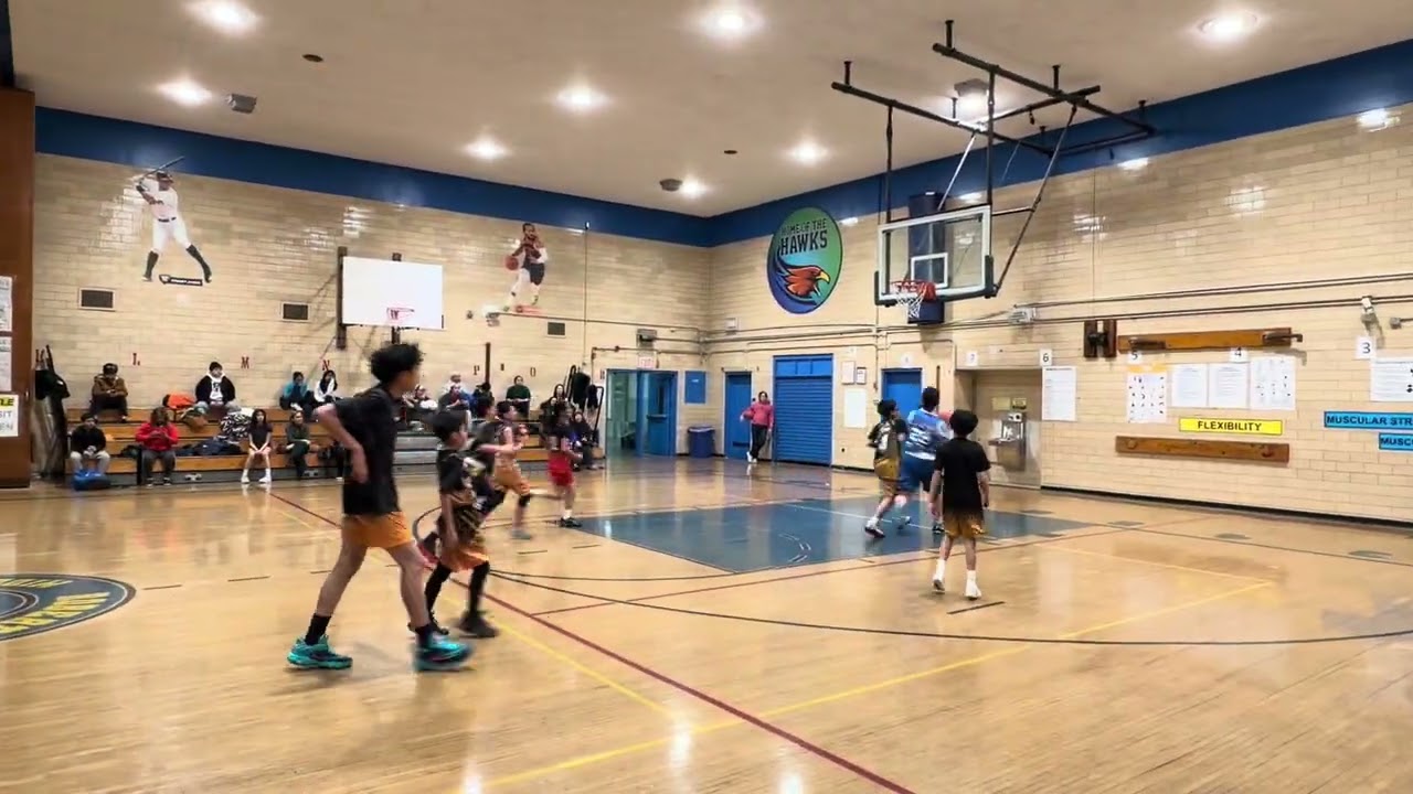 HH S4 | Silver Division | Week 7 |  Team Panthers  vs.  Team Wolves