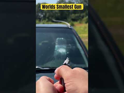 Worlds Smallest Gun FPV