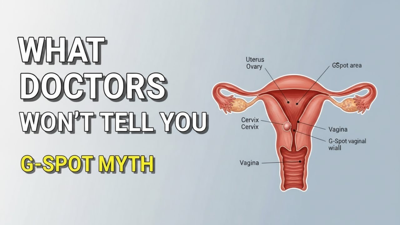 UROLOGIST: Unveiling the Truth About Female Anatomy | G-Spot Myth