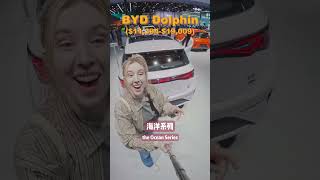 CHINA HAS WON THE EV RACE