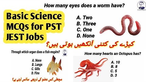 Science MCQs for Teachers Jobs 2021 | PST JEST MCQs | Basic Science MCQs #pstjest #sindhjobs