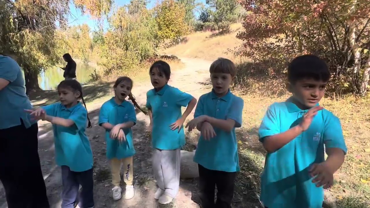 Ջրվեժի անտառապարկում