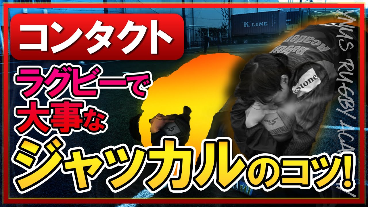 【必須スキル】ラグビーで大事なジャッカルのコツ！ブレイクダウンに活きる基本の姿勢を覚えよう