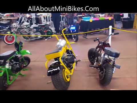 Mini Bikes Trending