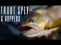 Summertime Trout Spey and Hopper Fishing in Montana