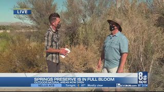 Fun outdoor fall activities at Springs Preserve