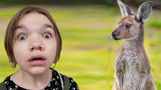 WILL IT KICK? Kangaroos, Wild Cats and more!