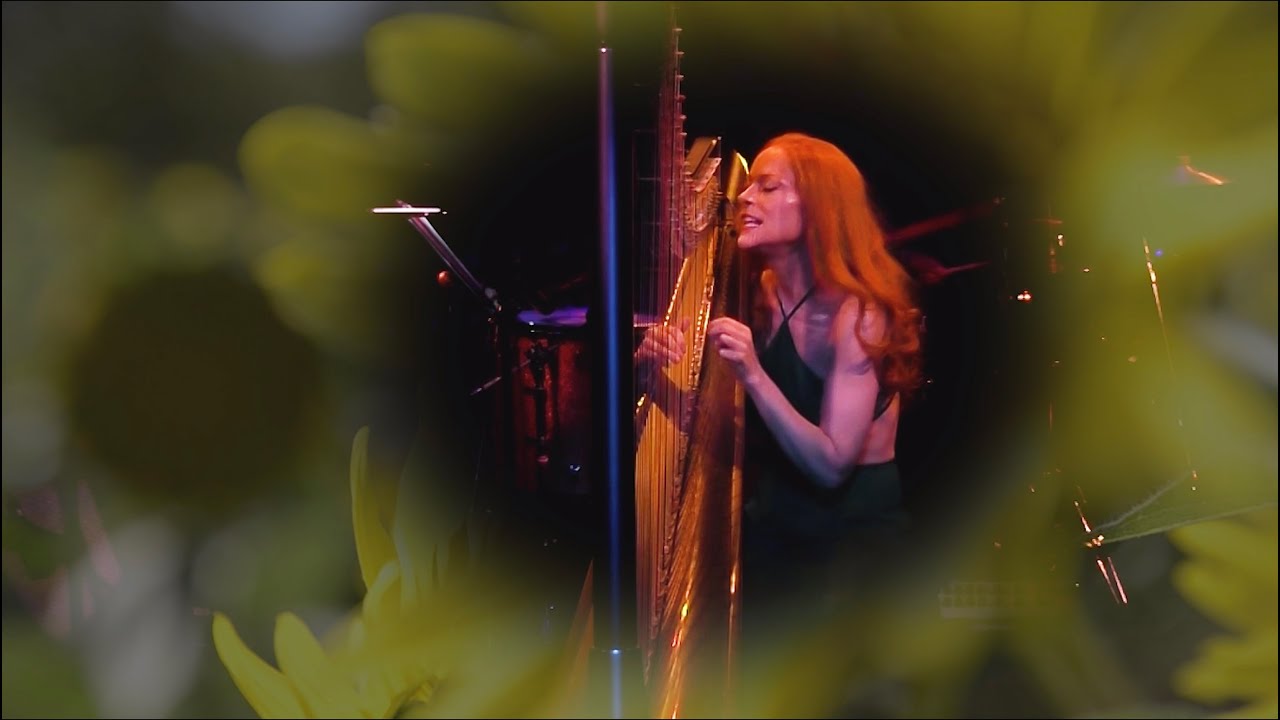 Sunflower - Post Malone/Swae Lea – Harp, Vocals, Drums - Erin Hill - SpiderMan into the Spider-verse