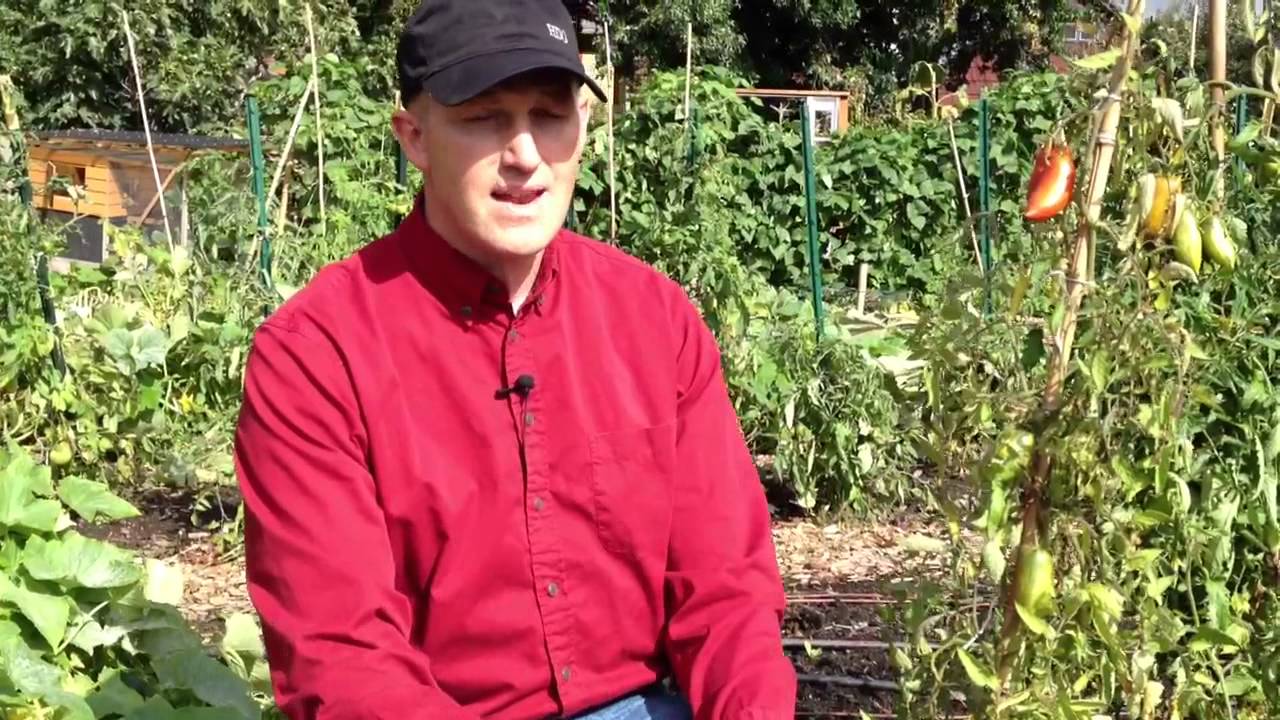 Put Your Garden to Bed with Cascade Minerals Remineralizing Soil Booster