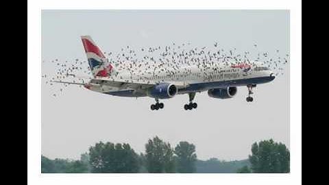 Business Intelligence in the Cloud