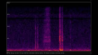 Sgram-Tui Quick Demo Silent