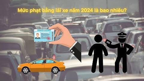 Lỗi không bằng lái xe phạt bao nhiêu năm 2024