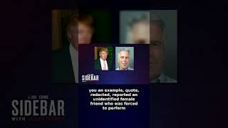 Part 2/2: What the Epstein Files Say About Donald Trump #shorts