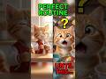 A Day in the Life of Sheroo|The Morning Ritual That Changed Everything🐱 #shorts #ytshorts #cat