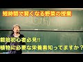 【やさいの授業】肥料の基礎①NPKを栽培初心者向けに授業してみた。