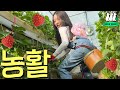 농활 vlog🍓 | 딸기농장 vlog | 체이싱래빗 x 유리아 퍼퓸크림 스포🤩