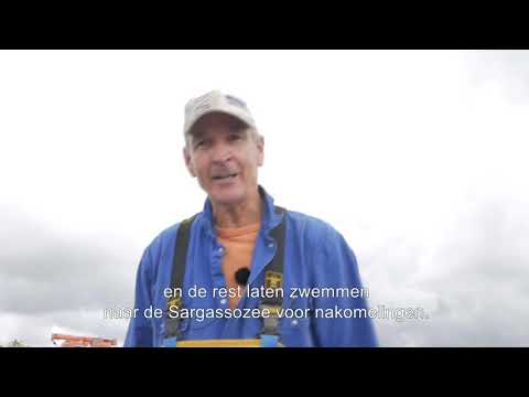 Het verhaal van