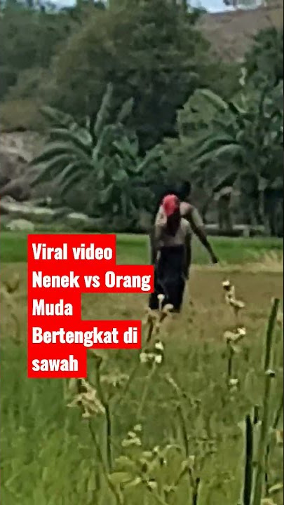 Viral Video Nenek VS Pria Muda Bertengkar Di Sawah