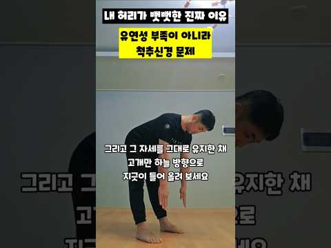유연성 부족이 아니라 <strong>척추신경</strong> 문제 #유연성테스트 #신경장력 #전굴자세 #허리디스크 #햄스트링스트레칭 #체형교정 #셀프진단 #운동재활박사최영한