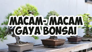 Keajaiban Uniknya Bonsai - 30  Macam-macam gaya bonsai