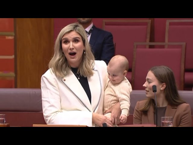 Every Labor MP’s Maiden Speech