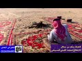 شيلة ياجميله كلمات سعد بن جدلان اداء فالح الملحي السبيعي 