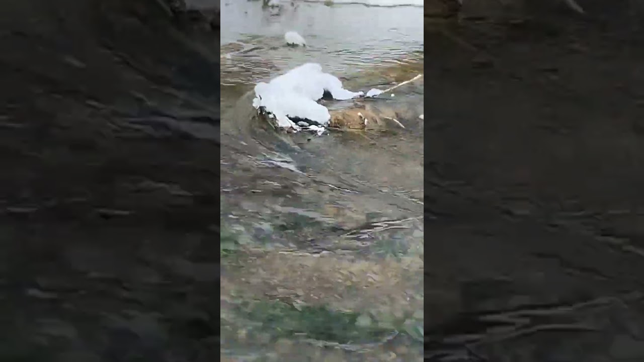 Эх зимушка зима.