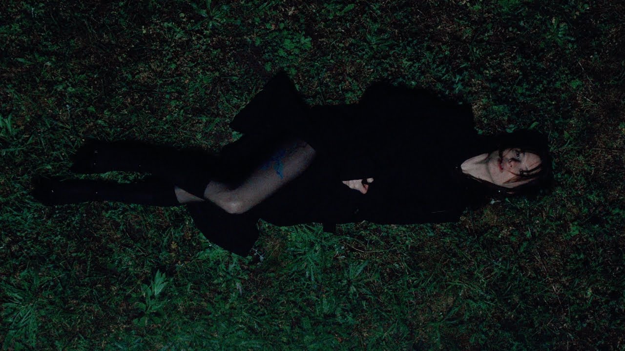 Rosa Damask – Adore You