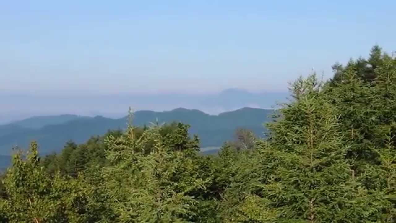 扇ヶ原展望台からの雲海 Youtube