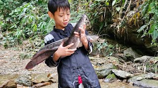 Highland boy demonstrates ancient fish trapping technique: Unexpectedly catches big fish