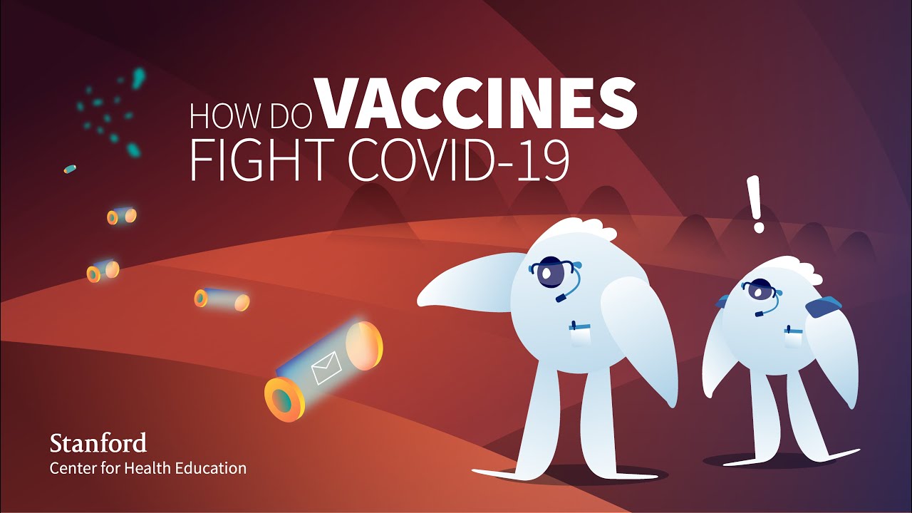 Как вакцины борются с COVID-19? | Стэнфордский центр медицинского образования