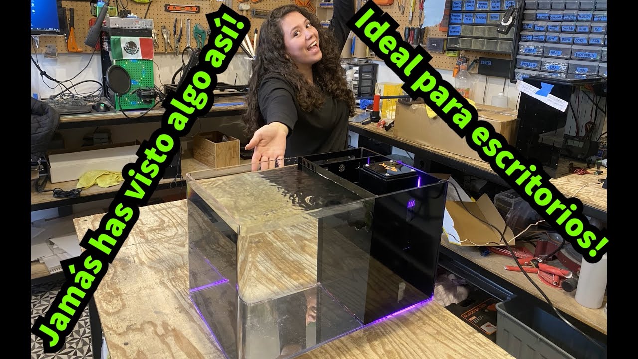 Nano acuario marino de acrílico con backsump de laberinto o caracol